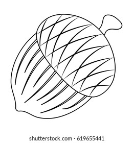 An acorn with a hat. Different kinds of nuts single icon in outline style vector symbol stock illustration.
