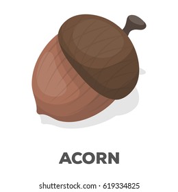 An acorn with a hat.Different kinds of nuts single icon in cartoon style vector symbol stock illustration.