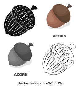 An acorn with a hat.Different kinds of nuts single icon in cartoon style vector symbol stock illustration.