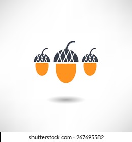 Acorn icon 