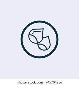 Acorn icon