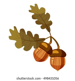 Acorn icon. Cartoon illustration of acorn vector icon for web