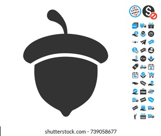 Acorn icon with free bonus icon set. Vector illustration style is flat iconic symbols.