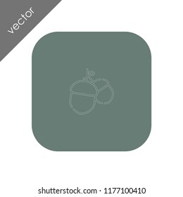 acorn icon - illustration