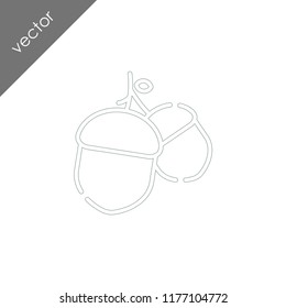 acorn icon - illustration