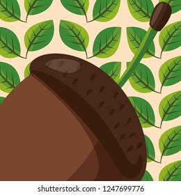 acorn icon image