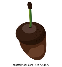 acorn icon image