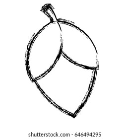acorn icon image
