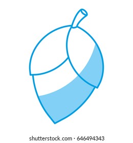 acorn icon image