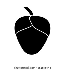 acorn icon image