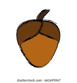 acorn icon image