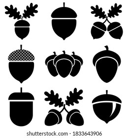 Acorn icon, logo isolated on white background