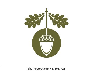 Acorn icon or logo in modern line style. Vector illustration on a white background.