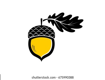 Acorn icon or logo in modern line style. Vector illustration on a white background. 