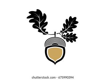 Acorn icon or logo in modern line style. Vector illustration on a white background. 