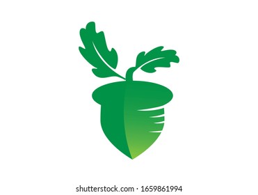 Acorn icon. Oak. Leaf. Isolated acorn on white background