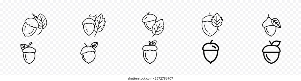 acorn icon, Acorn with oak leaves vector icon, Acorn and leaf icon. acorn icon vector. acorns sign on transparent background.