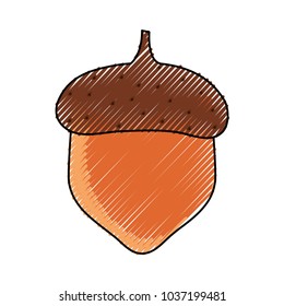 acorn icon over white background colorful design vector illustration
