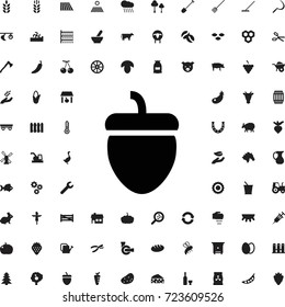 Acorn icon. set of filled agriculture icons.
