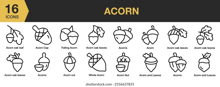 Acorn icon set. Includes oak leaves, nut, whole, and More. Outline icons vector collection.