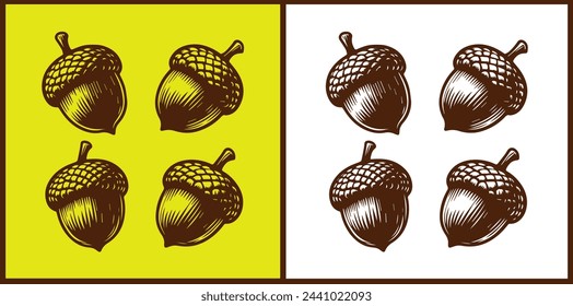 acorn icon set Oak nut Oak seed Oak apple collection Vector illustration