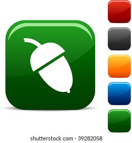 Acorn icon set. Vector illustration.