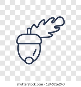 Acorn icon. Trendy linear Acorn logo concept on transparent background from Fruits and vegetables collection