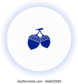 Acorn  icon. Vector design.