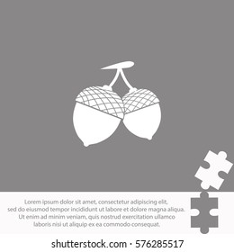 Acorn  icon Vector design.