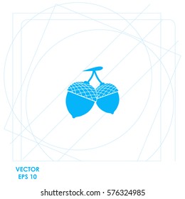 Acorn  icon Vector design.