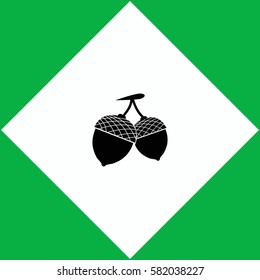 Acorn  icon Vector design.