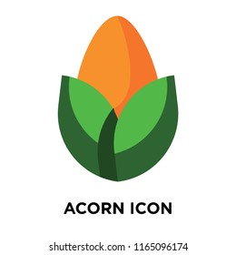 Acorn icon vector isolated on white background, Acorn transparent sign , colorful symbols