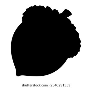 Acorn icon. Vector icon isolated on white background.