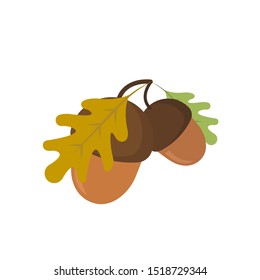 Acorn icon vector. Oak nut icon colored symbol. Autumn sign. Element of design. Flat cartoon style vector illustration. White isolated