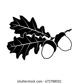 Acorn icon. Without the background