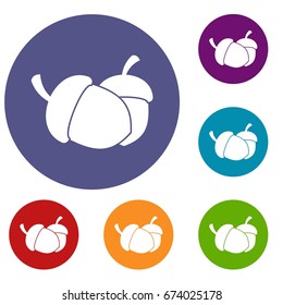 Acorn icons set in flat circle reb, blue and green color for web
