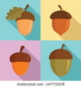 Acorn icons set. Flat set of acorn vector icons for web design