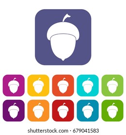 Acorn icons set vector illustration in flat style In colors red, blue, green and other