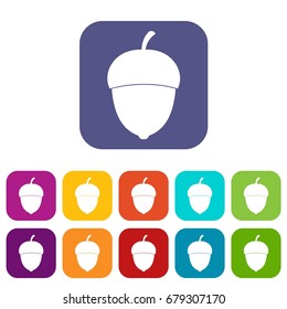 Acorn icons set vector illustration in flat style In colors red, blue, green and other