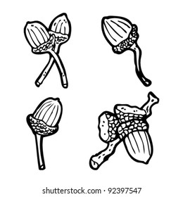 acorn illustration collection