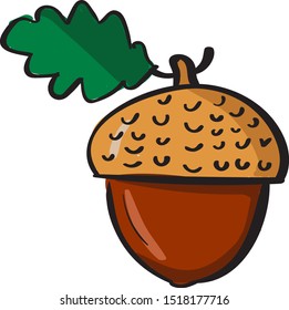 Acorn, illustration, vector on white background.