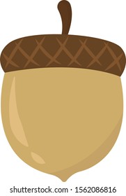 Acorn, illustration, vector on white background.
