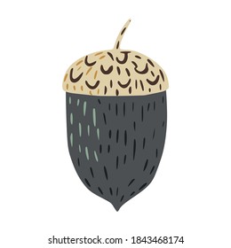 Acorn isolated on white background. Scandinavian acorn gray color hand drawn in doodle style vector illustration.