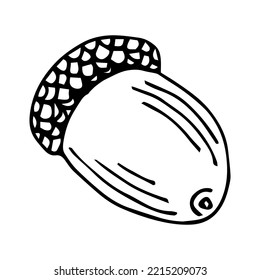 Acorn isolated sketch drawing on white. Vintage illustration with retro style like engraving. Design element for invitation, pattern, cards and poster.