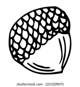 Acorn isolated sketch drawing on white. Vintage illustration with retro style like engraving. Design element for invitation, pattern, cards and poster.