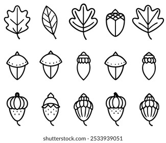 Acorn Leaf Outline Icon Design