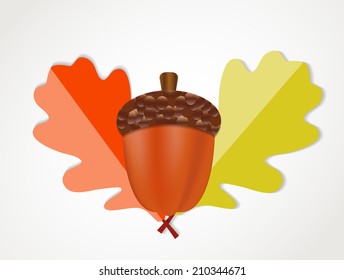 Acorn with Leaves Vector Autumn Illustration