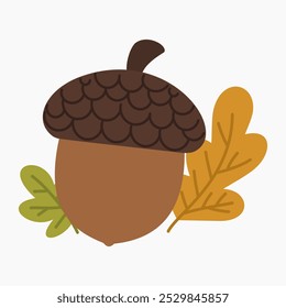  Acorn with leaves vector illustration isolated on white background