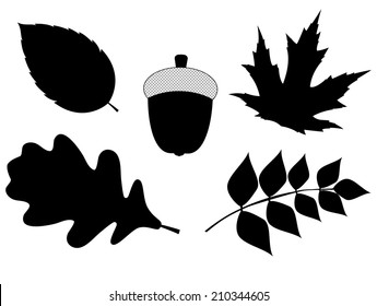 Acorn with Leaves Vector Silhouette Illustration