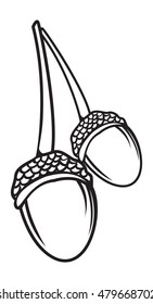 Acorn Line Art